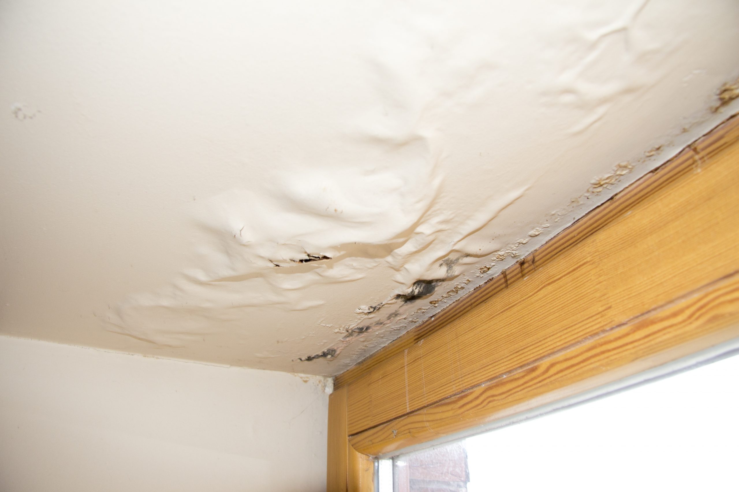 Mold Restoration in Fort Collins, CO, Can Bring Your Things Back to Life