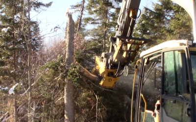 Having Brush Cutters for Mini Excavators Can Save You Quite a Bit of Time