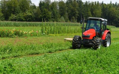 The Convergence of Tradition and Innovation: Understanding How Regenerative Agriculture Shapes Sustainable Farming Practices in the United States