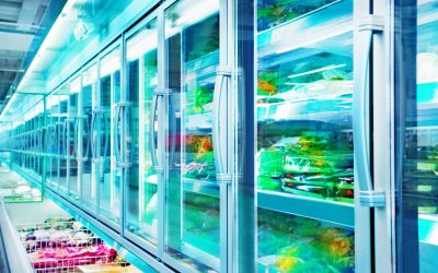 Navigating Commercial Freezer Repair in Seattle, WA: A Practical Overview