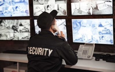 Things to Consider When Choosing Components for Security Systems